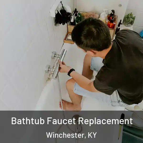  Bathtub Faucet Replacement Winchester, KY