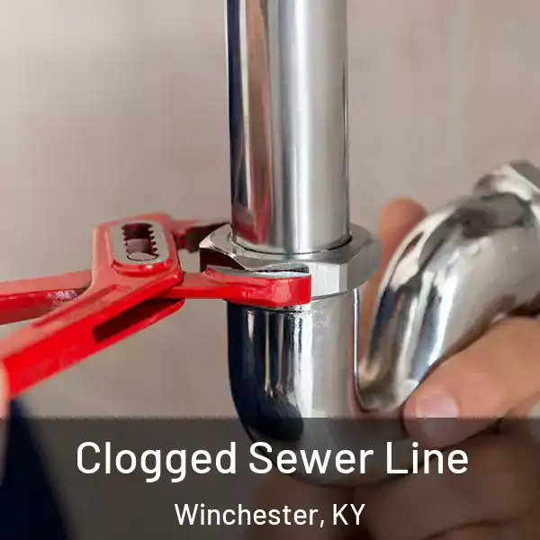  Clogged Sewer Line Winchester, KY