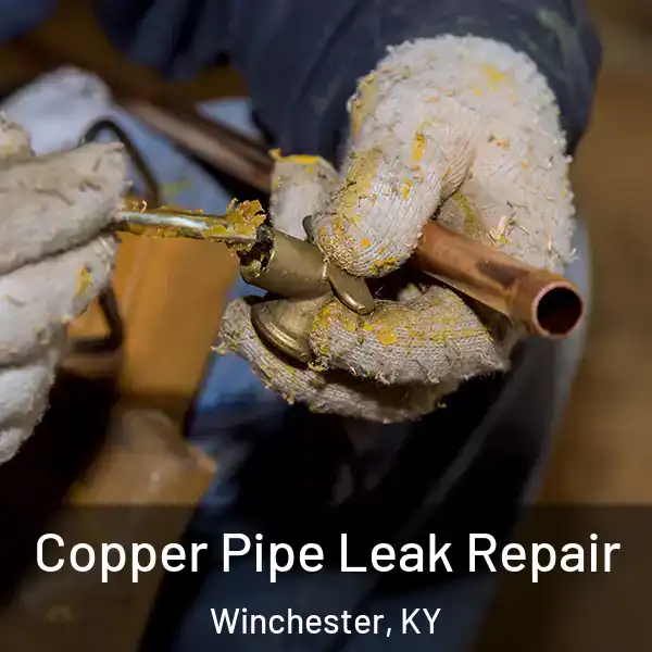  Copper Pipe Leak Repair Winchester, KY