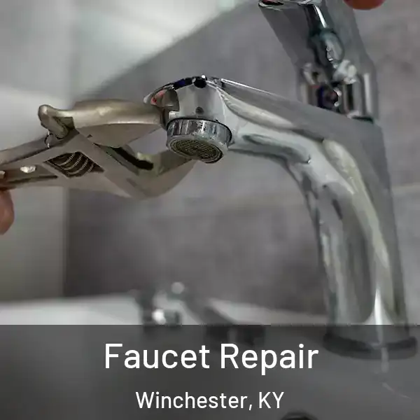  Faucet Repair Winchester, KY