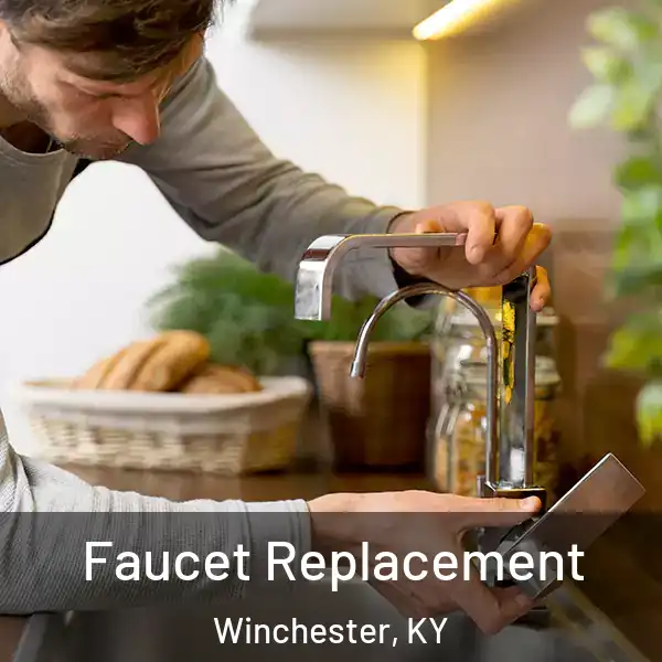  Faucet Replacement Winchester, KY