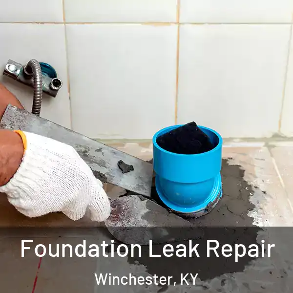  Foundation Leak Repair Winchester, KY