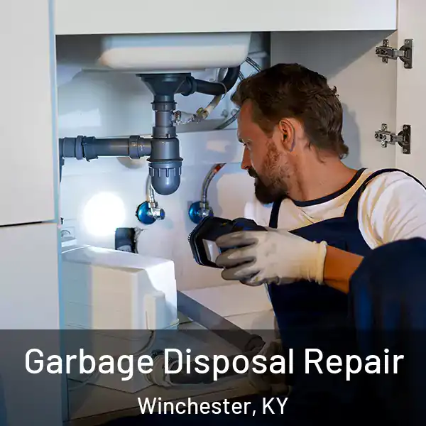  Garbage Disposal Repair Winchester, KY