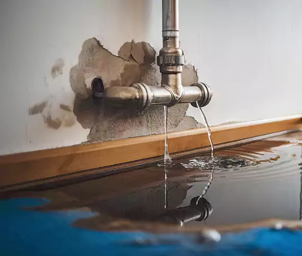 Professional Water Damage Restoration Experts in Winchester, KY — Fast, Reliable & Certified
