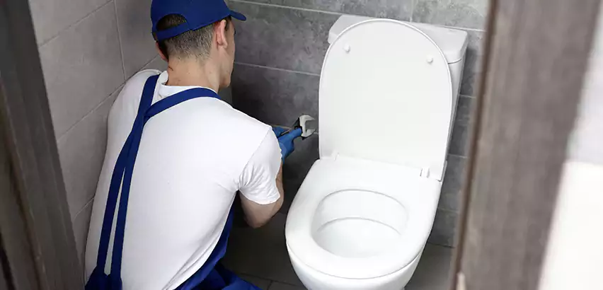 Toilet Lid Replacement in Winchester