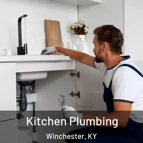  Kitchen Plumbing Winchester, KY