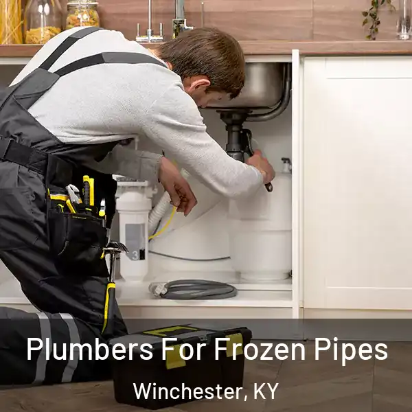  Plumbers For Frozen Pipes Winchester, KY
