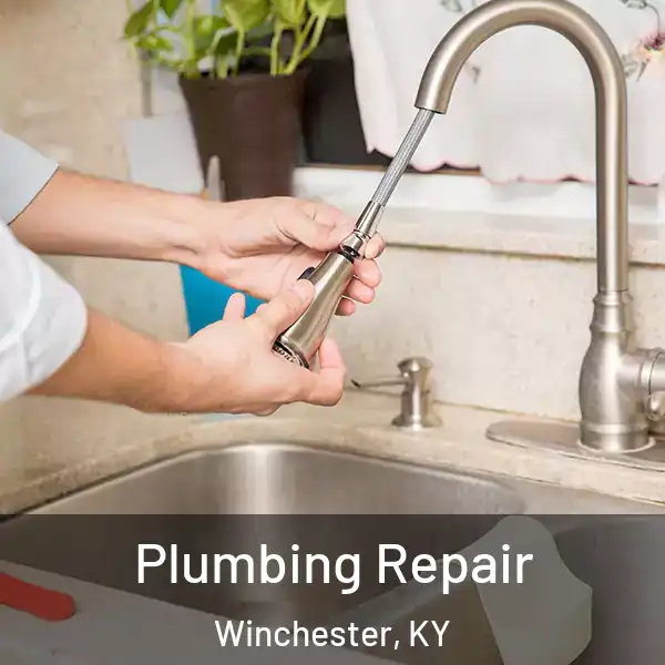  Plumbing Repair Winchester, KY