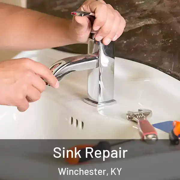 Sink Repair Winchester, KY