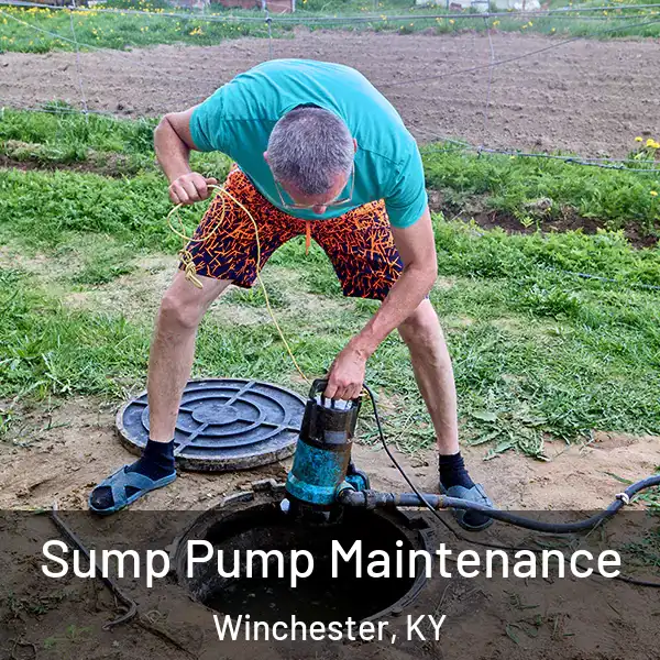  Sump Pump Maintenance Winchester, KY