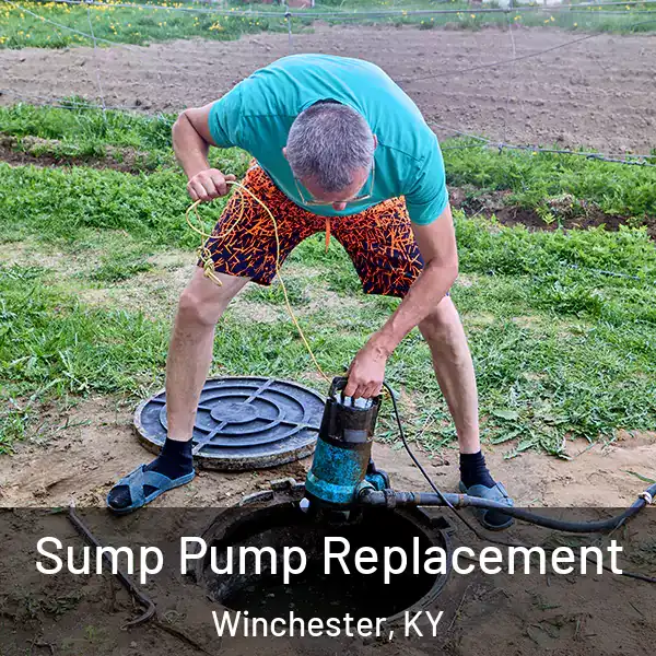  Sump Pump Replacement Winchester, KY