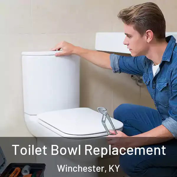  Toilet Bowl Replacement Winchester, KY