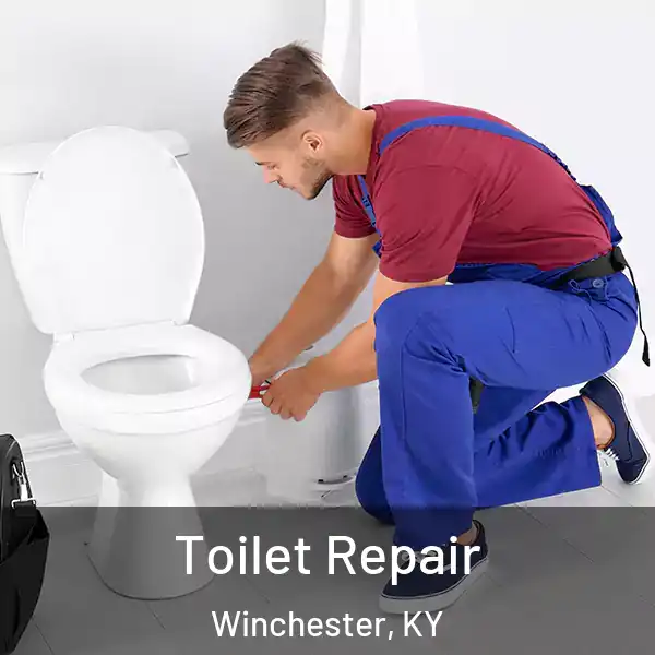  Toilet Repair Winchester, KY
