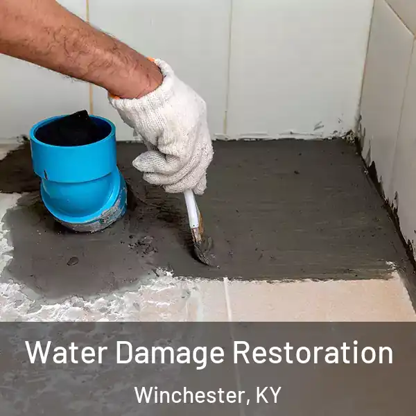  Water Damage Restoration Winchester, KY