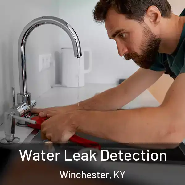  Water Leak Detection Winchester, KY