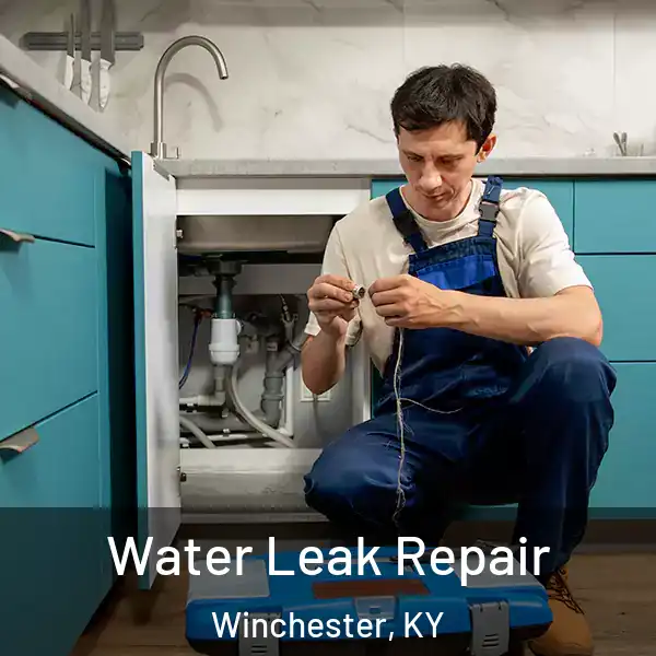  Water Leak Repair Winchester, KY